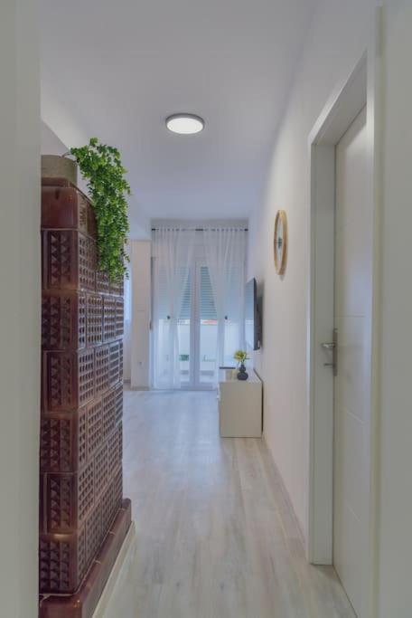 Apartman Scala Zadar Exteriér fotografie